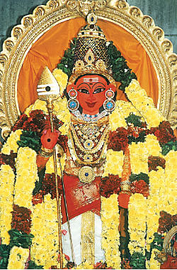 தடைகளைத் தகர்க்கும் தைப்பூச தரிசனம்!