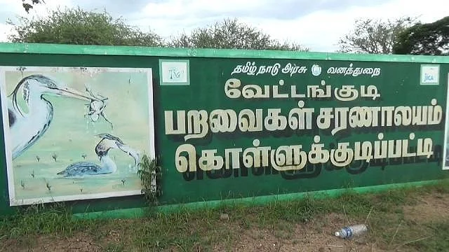 வேட்டங்குடி பறவைகள் சரணாலயத்தில் குவியும் பறவைகள்!