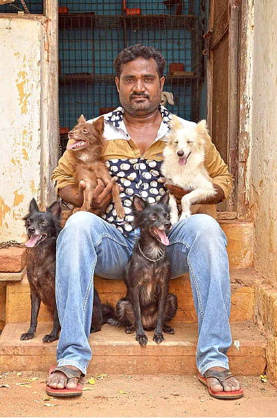 என் செல்லமே...