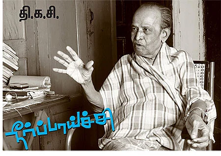 நீர்ப்பாய்ச்சி