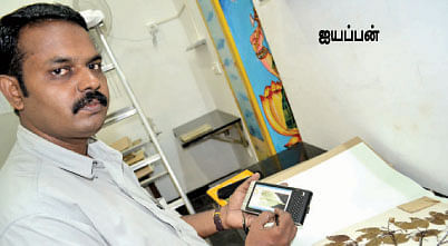 தாவரங்களளத் தெரிந்துகொள்ள இங்கே வாருங்கள் !