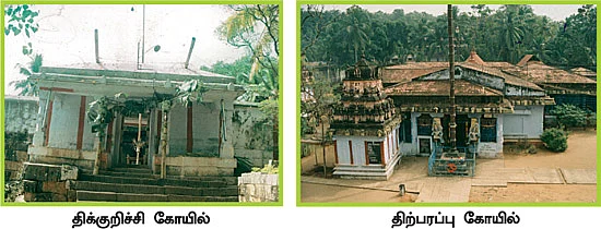 ‘கோவிந்தா... கோபாலா..!’ குமரியில் சிவாலய ஓட்டம்!