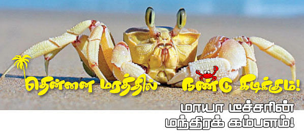 மாயா டீச்சரின் மந்திரக் கம்பளம்!