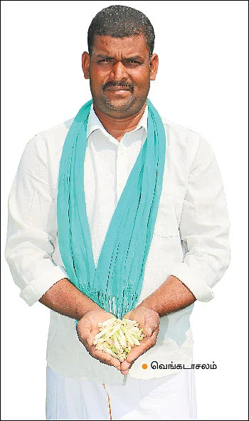மாதம் ரூ. 30,000... சரியான வருமானம் கொடுக்கும் சம்பங்கி!