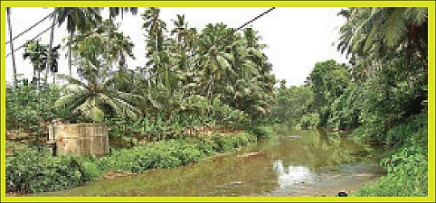ஸ்ரீ ஆதிகேசவ பெருமாள் தரிசனம் !