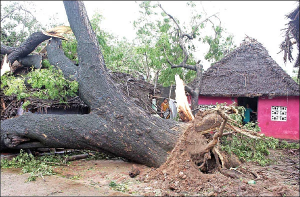 கஜா தாண்டவம் - என்னவாகும் எதிர்காலம்!