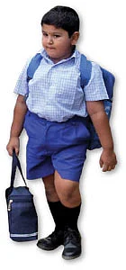 தலை வாரி பூச்சூடி உன்னை...