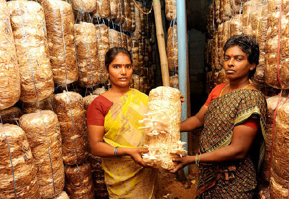 நீங்கள் கேட்டவை