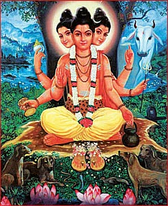 விழாக்கள்... விசேஷங்கள்!