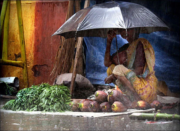 பெண் காலங்களும் களங்களும் - வெய்யில்