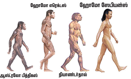 ஹாய் மதன் கேள்வி - பதில்