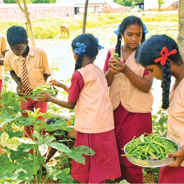 அரசுப்பள்ளி மாணவர்கள்!