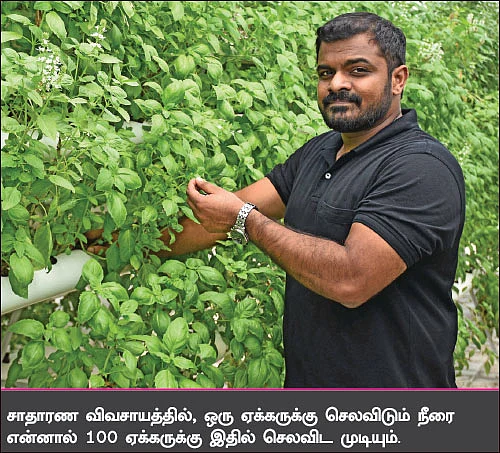 வீட்டிலேயே காய்கறி விளைச்சல்