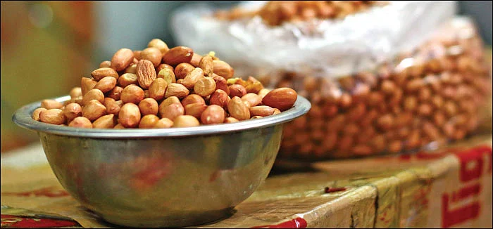 அள்ளித்தரும் அக்கரைச் சீமை... ஏற்றுமதிக்கு வழிசொல்லும் வெற்றி சூத்திரங்கள்! - 7