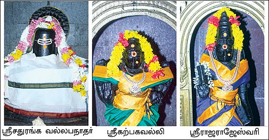 குறை தீர்க்கும் கோயில்கள் - 20 - சாமுண்டீஸ்வரி சந்நிதியில் விஷக்கடிக்கு வேர் சிகிச்சை!