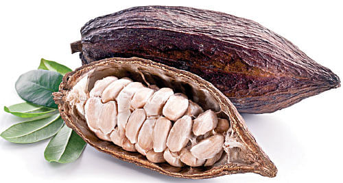 கசக்கும் விதை... இனிக்கும் கட்டி!