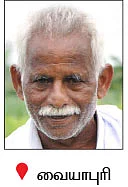அழிவின் விளிம்பில் அரசாங்க பனை... இது, ஆட்சியாளர்கள் செய்த வினை!