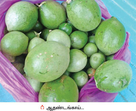 மண்புழு மன்னாரு: ஆடிப் பழஞ்சோறும் 'ஆதண்டங்காய்' வற்றலும்..!