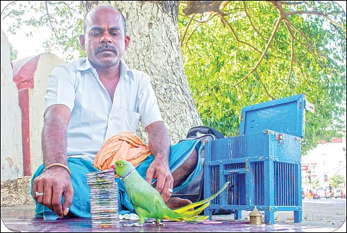 கிளி ஜோசியம் பார்க்கலையோ கிலி ஜோசியம்!