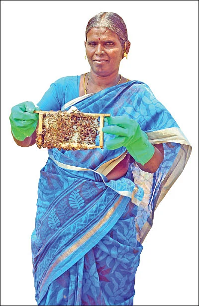 பணம் குவிக்கும் பண்ணைத்தொழில்கள் - 5 - ஒரே முறை முதலீடு... தொடர்ந்து ‘கொட்டும்’ வருமானம்!