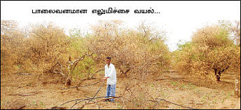 வாழ்வாதாரத்தைக் கொள்ளையடித்த, வரலாறு காணாத வறட்சி!