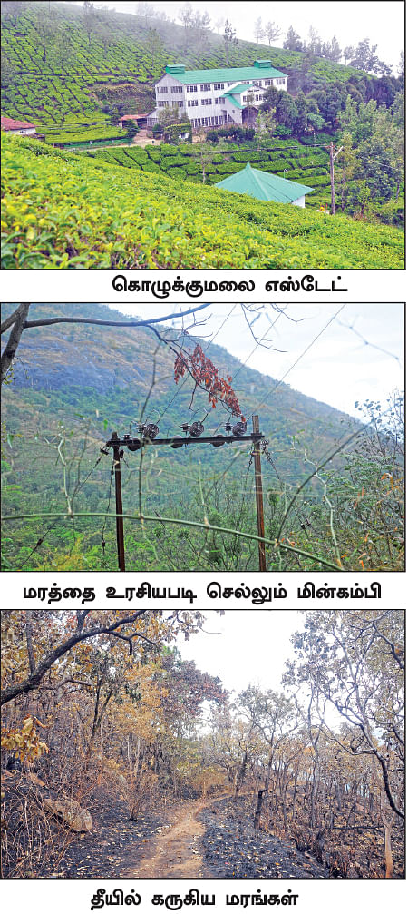 குரங்கணி காட்டுத்தீ... உண்மைகளை மூடப்பார்க்கும் வனத்துறை!