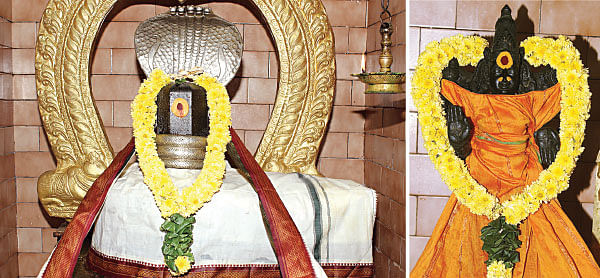 சிந்தை நிறை சிந்தை முருகன்!