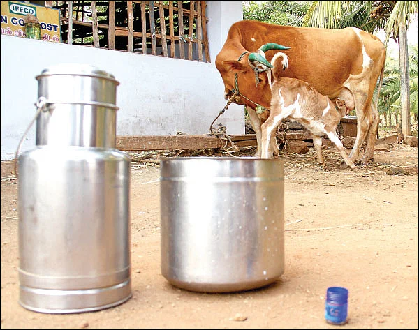 தண்டோரா
