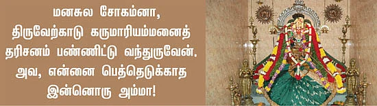 'அளவான உணவு... அளவற்ற அன்பு!'