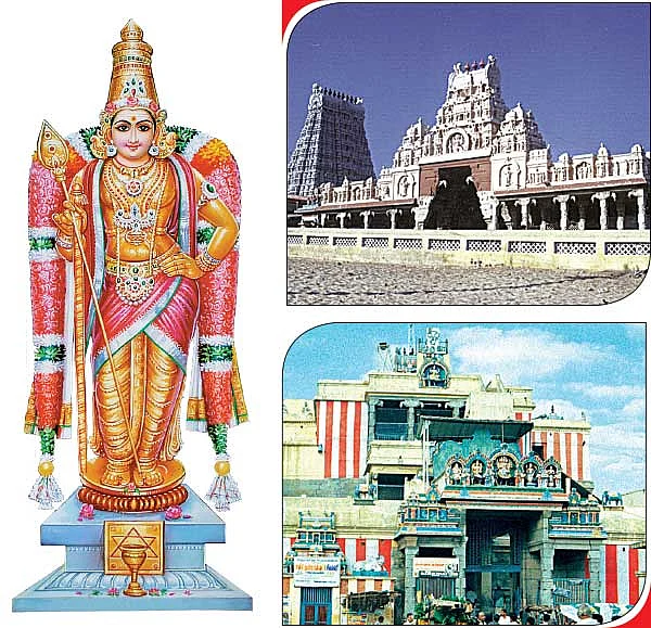 ஞானப் பொக்கிஷம்: 46
