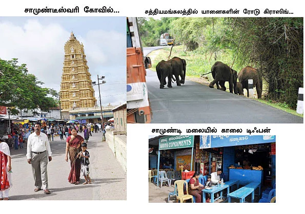 ரேபிட்டில் ராக்கெட் பயணம்!
