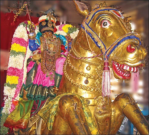 அல்லிக்கேணியில் அழகுத் திருக்கோலம்!
