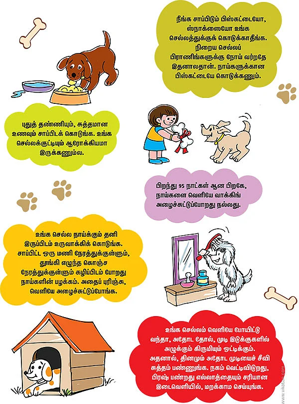 செல்லக்குட்டி!