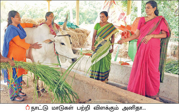 ஒரு நாள் விவசாயி! பருவம் - 2 - பண்ணைக்குட்டை இருந்தால் தண்ணீர்ப் பஞ்சம் வராது!