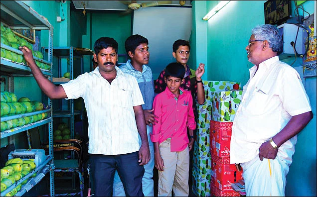 உலகம் சுவைக்கும் கனி! - மாந்தோப்பு டு மாம்பழக் கடை