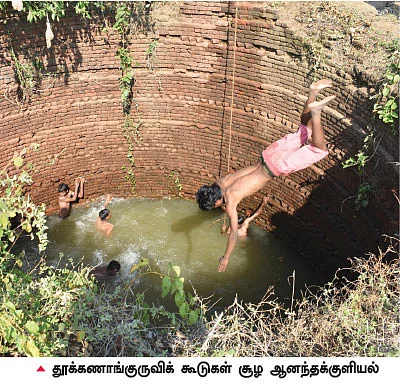 குழந்தைகளுக்காகக் காத்திருக்கும் குயில் கூடு!