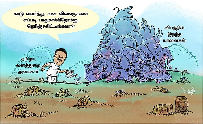 கார்ட்டூன்