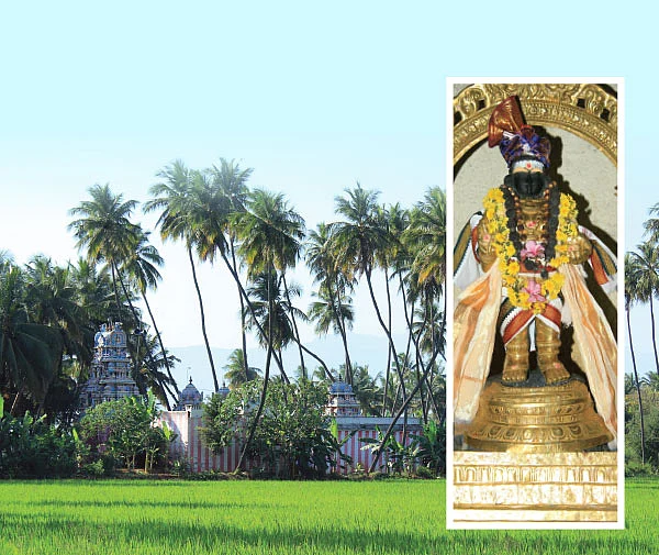 மாணவர்களுக்கு அருளும் மாணிக்கவாசகர்!