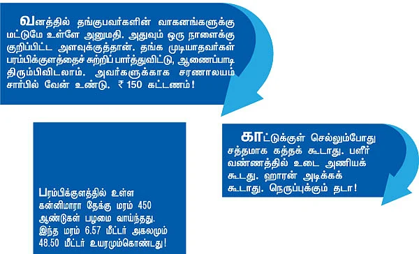 காட்டுக்குள்ளே திகில் பங்களா!