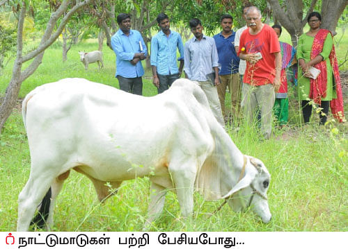 மேட்டுப்பாத்தி... குறைந்த பரப்பில் அதிக மகசூல்! - ஒருநாள் விவசாயி பருவம் - 2
