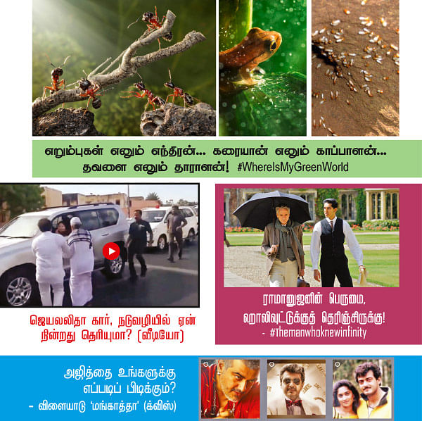 VIKATAN NOW