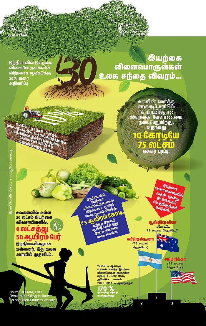 விளையும் விலையும்! - சந்தைக்கு வழிகாட்டும் தொடர் - 2