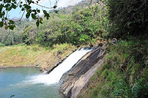 அஞ்சுருளிக்கு வாரீகளா?