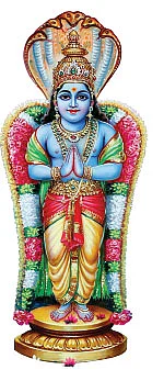 மன்மத வருடம்... ராகு, கேது பலன்கள் !