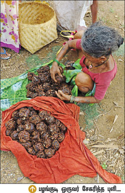 சிவப்புத் தாழ்வாரத்தின் கதை!