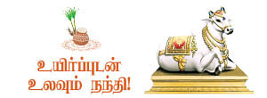 சிவமே... என் சிவமே!
