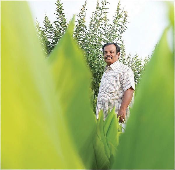 அடுத்து என்ன? - சு.வேணுகோபால்