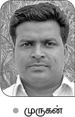 நீங்கள் கேட்டவை: அயிரை மீன் விலை கிலோ, ஆயிரம் ரூபாய்?