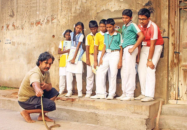 36 வருடங்கள் 36ஆயிரம் பாம்புகள்