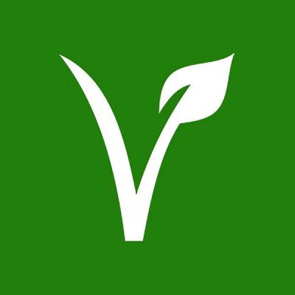 வீகன் உணவுமுறை பாதுகாப்பானதா... ப்ளஸ் மைனஸ் என்ன? #VeganDiet